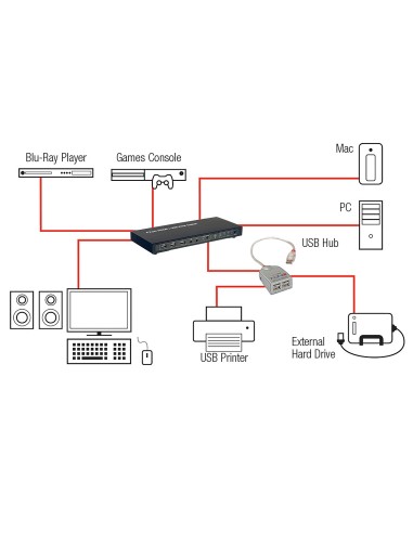 Lindy 32811 switch per keyboard-video-mouse (kvm) Nero