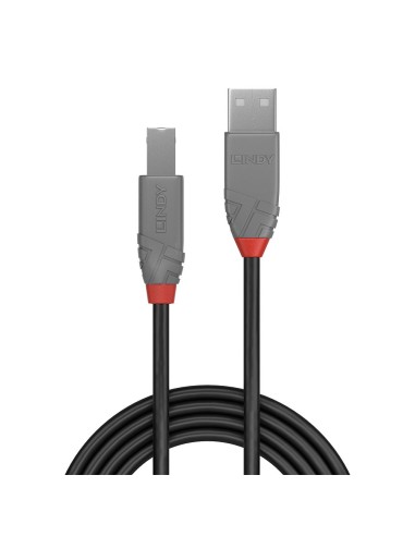 Lindy 36677 cavo USB 10 m USB 2.0 USB A USB B Nero, Grigio, Rosso