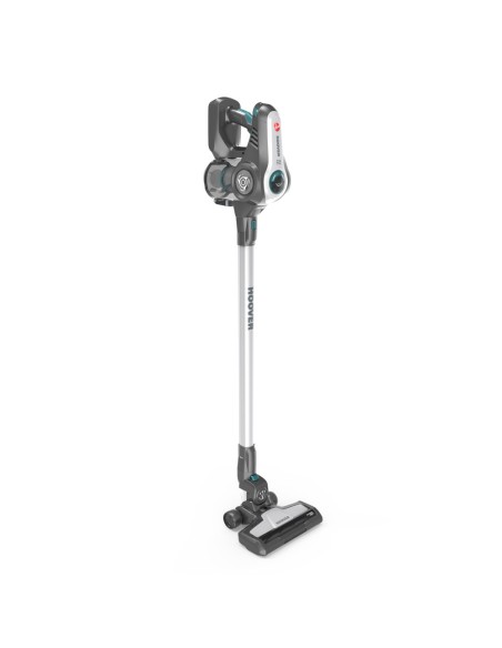 Hoover Rhapsody RA22AFG 011 Titanio Senza sacchetto