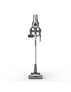 Hoover Rhapsody RA22AFG 011 Titanio Senza sacchetto 2