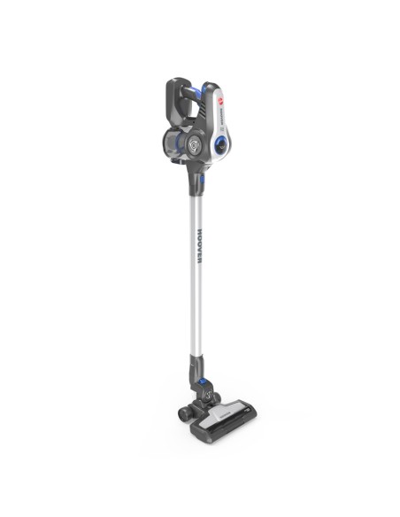 Hoover Rhapsody RA22PTG Titanio Senza sacchetto
