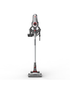 Hoover RA22HCG011 Titanio Senza sacchetto 2