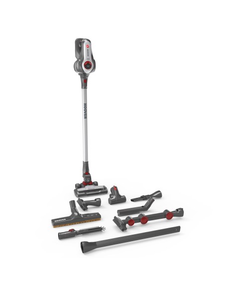 Hoover RA22HCG011 Titanio Senza sacchetto