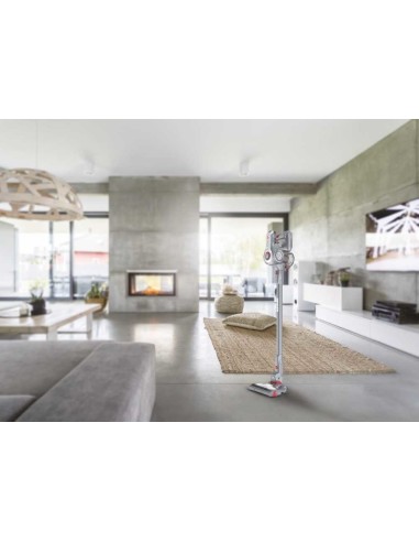 Hoover Rhapsody Titanio Senza sacchetto