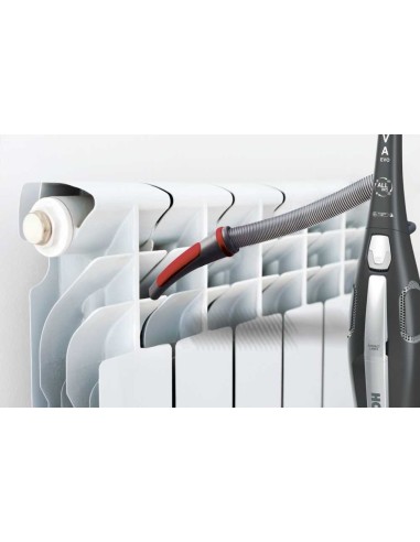 Hoover Diva DVE01B 011 Sacchetto per la polvere 1,7 L 750 W Grigio, Borgogna