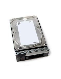 DELL 400-AUSS disco rigido interno 3.5" 4000 GB NL-SAS