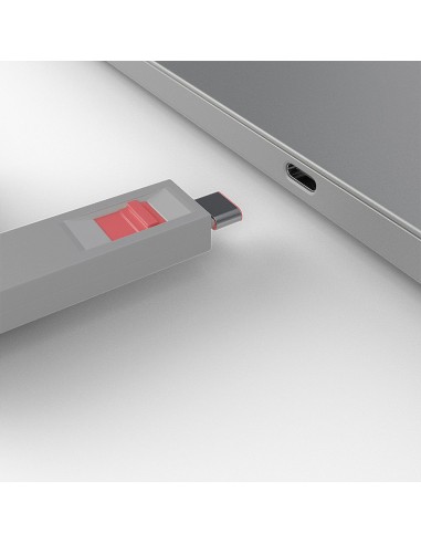 Lindy 40425 clip sicura Bloccaporte + chiave USB tipo-C Rosa 5 pz