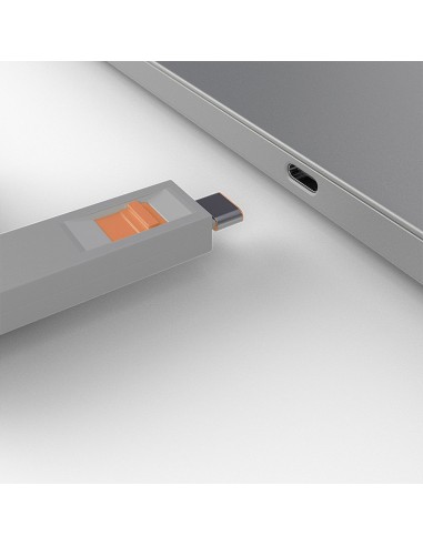 Lindy 40428 clip sicura Chiave bloccaporta USB tipo-C Grigio, Arancione 4 pz