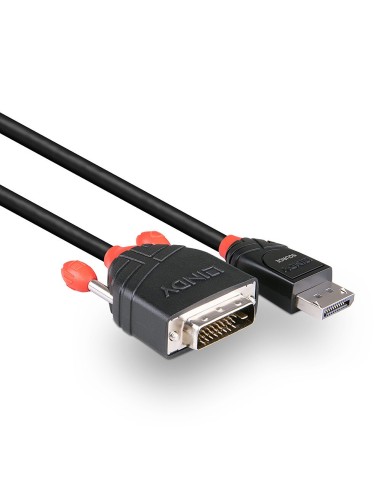 Lindy 41491 cavo e adattatore video 2 m DisplayPort HDMI Nero