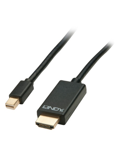 Lindy 41667 cavo e adattatore video 5 m HDMI tipo A (Standard) Nero