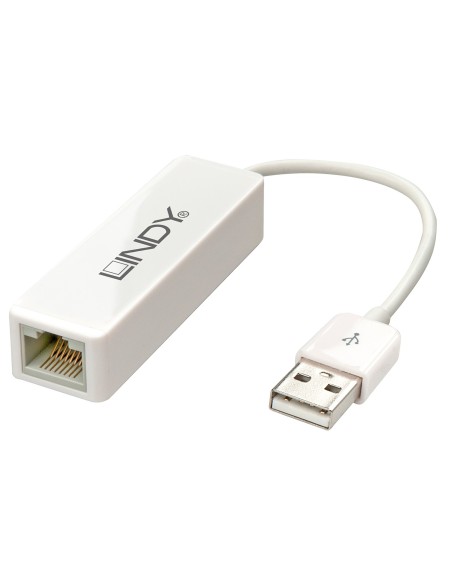 Lindy 42922 scheda di rete e adattatore Ethernet 100 Mbit s