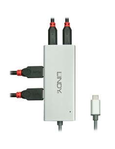 Lindy 43091 USB 2.0 Type-C 5000 Mbit s Argento 2