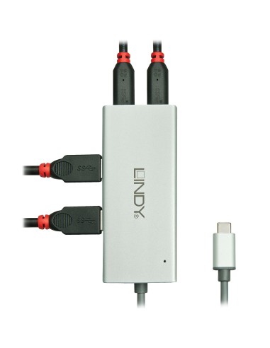 Lindy 43091 USB 2.0 Type-C 5000 Mbit s Argento