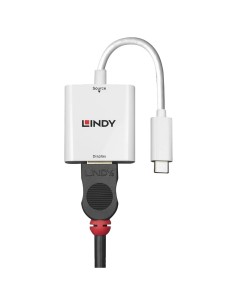 Lindy 43244 adattatore grafico USB 3840 x 2160 Pixel Bianco 2
