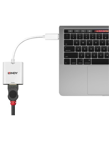 Lindy 43244 adattatore grafico USB 3840 x 2160 Pixel Bianco