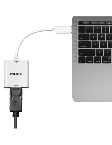 Lindy 43245 adattatore grafico USB 3840 x 2160 Pixel Bianco