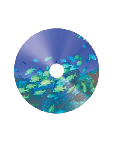 Verbatim 43653 CD vergine CD-R 700 MB 50 pz