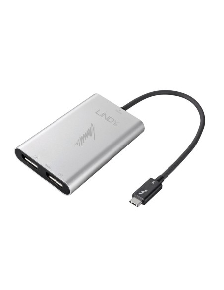 Lindy 43901 cavo e adattatore video 0,25 m Grigio