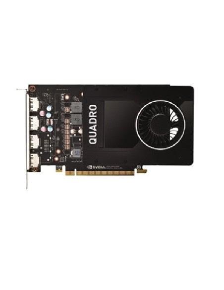 DELL 490-BDTN scheda video NVIDIA Quadro P2000 5 GB GDDR5
