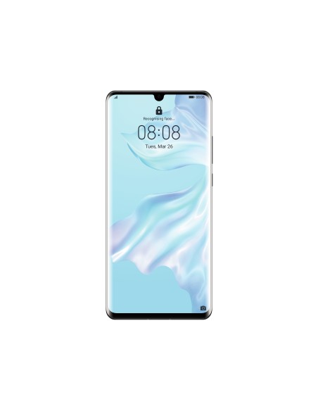 Huawei P30 Pro 16,4 cm (6.47") Dual SIM ibrida Android 9.0 4G USB tipo-C 8 GB 128 GB 4200 mAh Nero