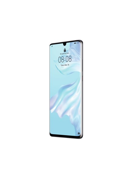 Huawei P30 Pro 16,4 cm (6.47") Dual SIM ibrida Android 9.0 4G USB tipo-C 8 GB 128 GB 4200 mAh Nero