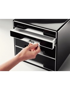 Leitz 52521095 scatola per la conservazione di documenti Nero 2