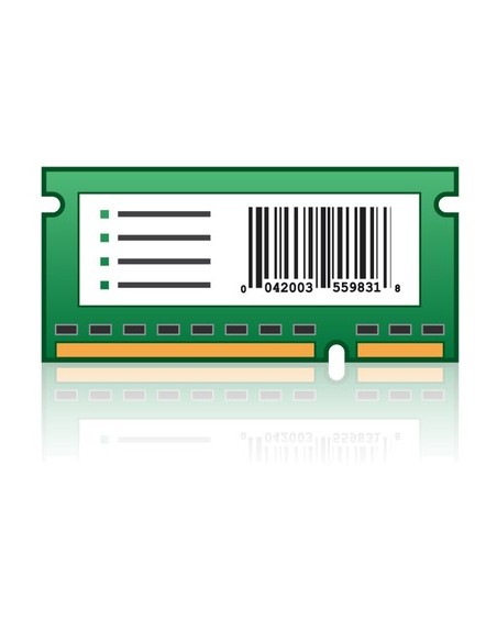 Lexmark 256MB Flash