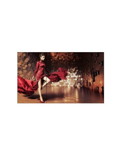 LG 65EV5C espositore video da parete OLED Interno