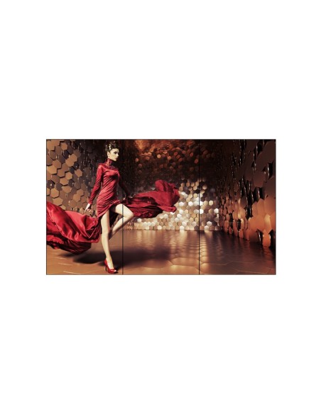 LG 65EV5C espositore video da parete OLED Interno