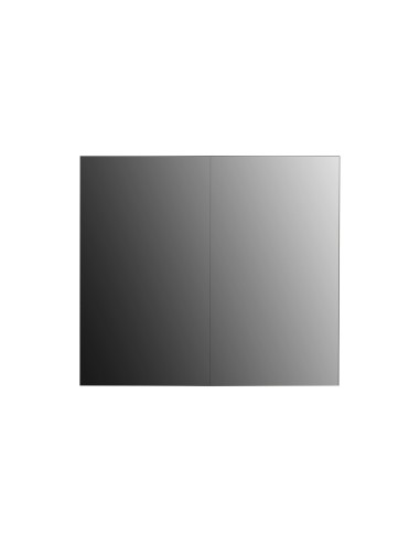 LG 65EV5E espositore video da parete OLED Interno