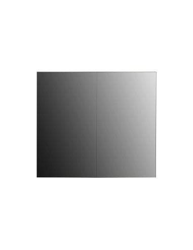 LG 65EV5E-3 espositore video da parete OLED Interno
