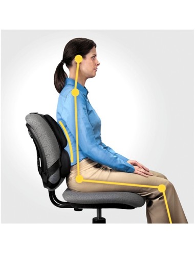 Fellowes Professional Series Nero