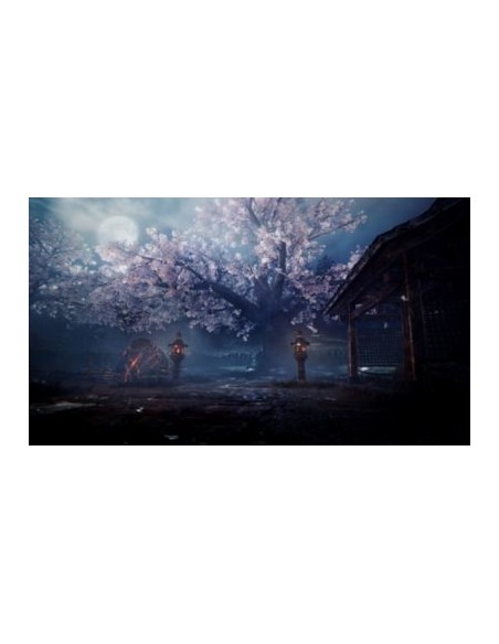Sony Nioh 2, PS4 Standard Inglese, ITA PlayStation 4