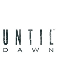 Sony Until Dawn PlayStation Hits, PS4 Standard PlayStation 4 2