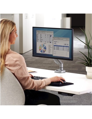 Fellowes Eppa 99,1 cm (39") Morsa Argento