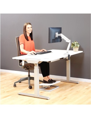 Fellowes Eppa 99,1 cm (39") Morsa Argento