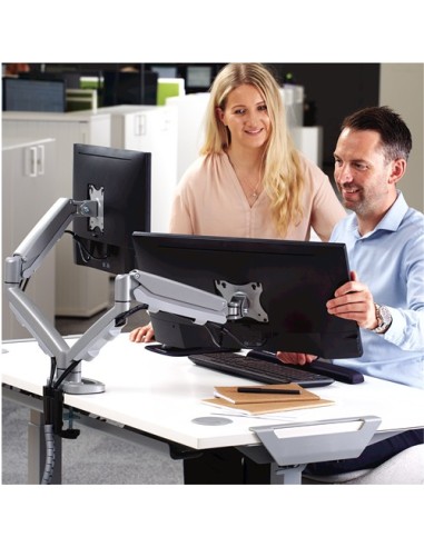 Fellowes Eppa 99,1 cm (39") Morsa Argento