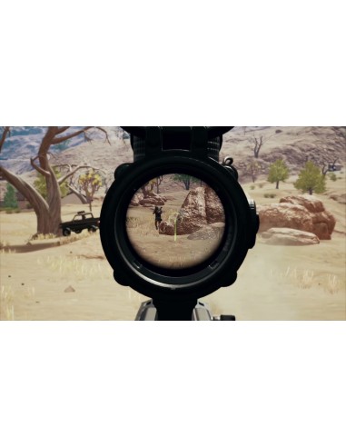 Sony PlayerUnknown's Battlegrounds, PS4 Standard PlayStation 4
