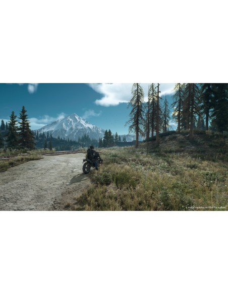 Sony PS4 Days Gone
