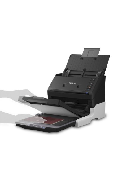 Epson Flatbed Scanner Conversion Kit