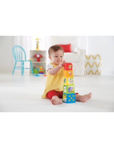 Fisher-Price CDC52 costruzioni