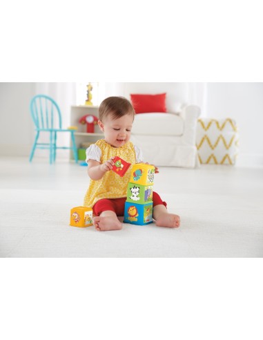 Fisher-Price CDC52 costruzioni