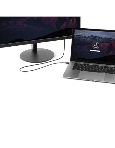 StarTech.com Cavo Adattatore USB-C a DisplayPort da 1,8m - 4k 60hz