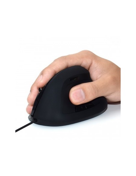 Ewent EW3157 mouse Mano destra USB tipo A Ottico 1800 DPI