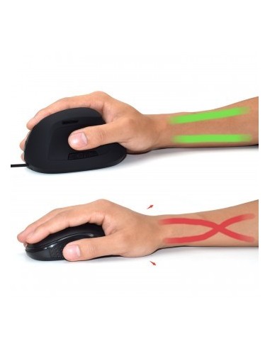 Ewent EW3157 mouse Mano destra USB tipo A Ottico 1800 DPI