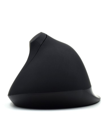 Ewent EW3158 mouse Mano destra RF Wireless 1600 DPI