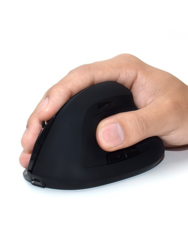 Ewent EW3158 mouse Mano destra RF Wireless 1600 DPI