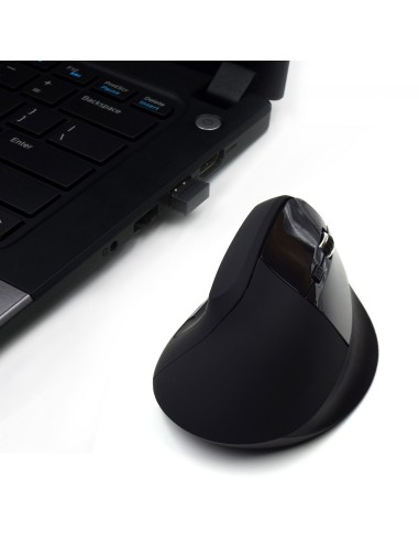 Ewent EW3158 mouse Mano destra RF Wireless 1600 DPI