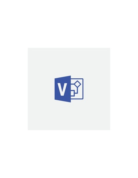 Microsoft Visio Standard 2019, OLP Open License 1 licenza e Multilingua