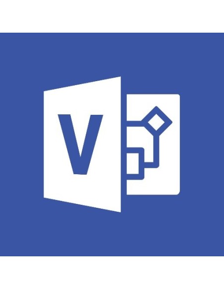 Microsoft Visio Professional 2019 1 licenza e Multilingua
